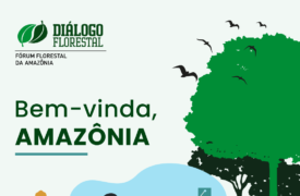 UEMA participa da primeira reunião do Fórum Florestal da Amazônia