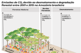 Professor da UEMA publica artigo na revista Nature sobre degradação florestal na Amazônia e mudanças climáticas