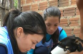 UEMA PESQUISA: levantamento sobre a situação sanitária de cães no município de Belágua
