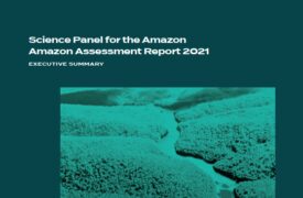 Professor da UEMA participa de estudo para produção de Sumário Executivo de Relatório de Referência sobre a Amazônia