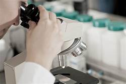 UEMA tem 6 programas aprovados MAIS CIÊNCIA