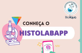 Professores e estudantes do curso de Ciências Biológicas criam aplicativo sobre Histologia Básica