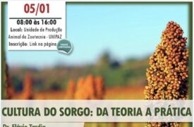 GINTEGRA realizará o curso “Cultura do Sorgo: da teoria a prática”