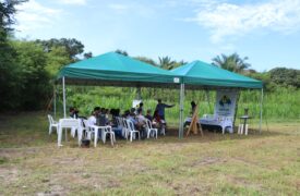 II Dia de Campo sobre cultura do Sorgo é promovido na UEMA