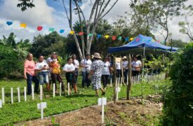 UEMA participa da 1ª Jornada Decolonial Internacional