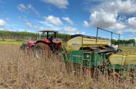 Professores do Campus Balsas publicam um importante estudo no journal “plos one”