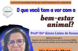 O que você tem a ver com bem-estar animal?