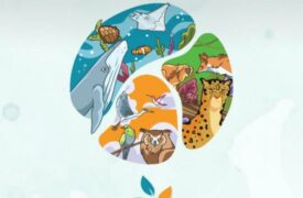 I Simpósio do Programa de Pós-graduação em Ecologia e Conservação acontece na próxima semana