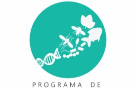 Inscrições para seleção ao Programa de Mestrado em Biodiversidade, Ambiente e Saúde são prorrogadas no Campus Caxias