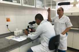 Pesquisadores da UEMA realizam estudos sobre condições sanitárias de vísceras brancas nos abatedouros bovinos de São Luís