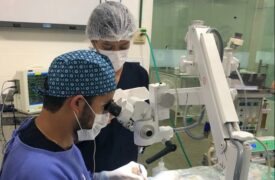 Pesquisadores da UEMA estudam neoplasias oculares em cães e gatos