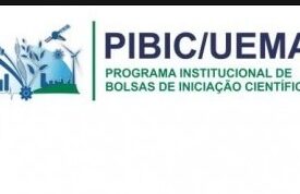 Últimos dias de inscrição para seleção de artigos para publicação da coletânea PIBIC ciclo 2021/2022
