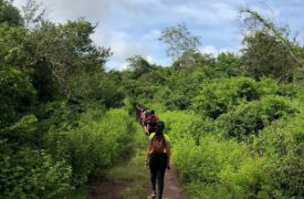 Campus Grajaú realiza trilha ecológica para recepcionar alunos