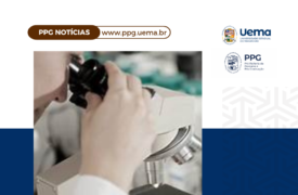 UEMA é destaque em ranking internacional de produção científica