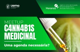 Agência Marandu realiza Meetup sobre Cannabis Medicinal na quarta-feira (26)