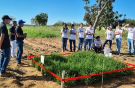 Campus Balsas realiza o I Dia de Campo da Agronomia com o tema “Explorando as Culturas Agrícolas”