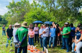 UEMA, AGERP e Embrapa Cocais realizam dia de campo na Fazenda Escola da UEMA