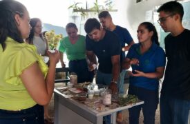 Alunos da Uema Campus Balsas realizam feira de tecnologia de alimentos