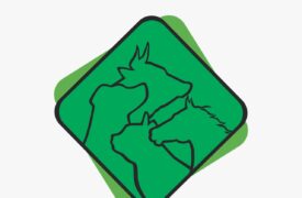 Inscrições abertas para Mestrado e Doutorado em Ciência Animal