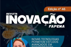 Pesquisadora da Uema é destaque na nova edição da Revista Inovação Fapema
