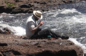 Pesquisador da Uema coordena estudos sobre plantas aquáticas na Chapada das Mesas e Mirador