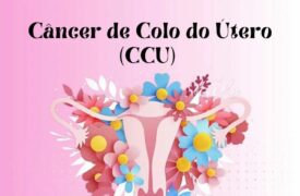 Uema Campus Colinas realiza projeto de extensão sobre a prevenção do Câncer de Colo de Útero