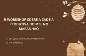 Uema e Fundação Vale realizarão II Workshop sobre a cadeia produtiva do mel no Maranhão
