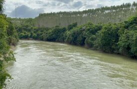 Pesquisadores da Uema estão desenvolvendo projeto sobre a Resiliência da biodiversidade na Reserva Biológica do Gurupi