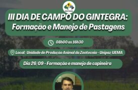 Uema realizará o III Dia de Campo do Gintegra: Manejo de plantas forrageiras