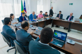 Uema participa de reunião ordinária da Frente Parlamentar de Combate à Pobreza em debate com o tema educação