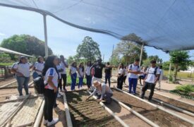 Fazenda Escola do Campus São Bento recebe alunos do ensino médio para visita técnica