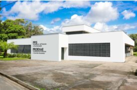 Uema vem alcançando de forma significativa as metas de Mestres e Doutores no Plano Estadual de Educação no Maranhão
