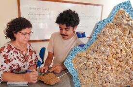 Pesquisadores da Uema estudam a paleofauna de gastrópodes fósseis no município de Duque Bacelar