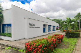 Uema inicia matrículas presenciais para calouros da EAD 2025