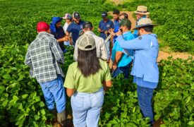 Estudantes do ProfiTec participam de aula prática em Estação de Pesquisa e Consultoria Agronômica na cidade de Balsas