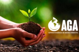 Uema em Ação: Destaques sustentáveis e ambientais desenvolvidos pela AGA em 2023