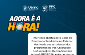 Inscrições abertas para Bolsa de Doutorado Sanduíche no Exterior