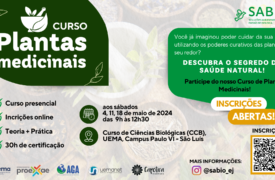 Empresa Júnior da Uema está com incrições abertas para curso com certificação