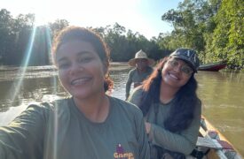 Estudos científicos de mestranda da Uema podem contribuir para preservação de primatas nas florestas de Humberto de Campos