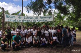 NEAPO/Uema recebe agricultoras e discentes para visita técnica em unidades do núcleo