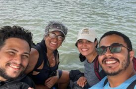 Professora da Uema realiza pesquisa com aves migratórias em praias de São Luís e Raposa