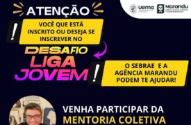 Agência Marandu promove mentoria coletiva sobre o Desafio Liga Jovem