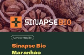 Sinapse Bio será transmitido no canal da Uema no YouTube