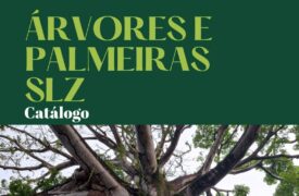 Editora Uema lançará catálogo virtual para preservação de árvores e palmeiras de São Luís nesta próxima quinta-feira (06)