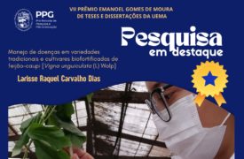 Pesquisa da Uema destaca a segurança alimentar do ponto de vista nutricional e fitossanitário