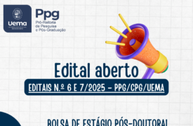 Abertas inscrições para Bolsa de Estágio Pós-doutoral
