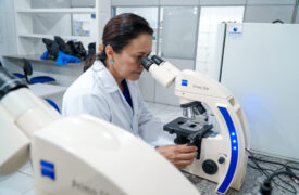 I-Educam: pesquisadores da Uema lançam startup que transforma pele de peixe em couro sustentável