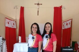 Professora do Campus Pinheiro e bolsista do Programa Primeiros Passos na Ciência têm artigo publicado em livro