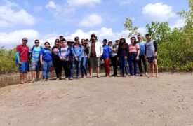 Alunos de Geografia do Programa Ensinar vivenciam a dinâmica dos manguezais durante aula de campo