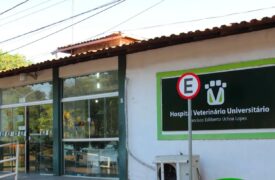 Hospital Veterinário da Uema anuncia horário de funcionamento durante o período de Carnaval